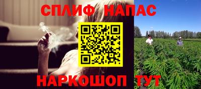 дживик Сланцы