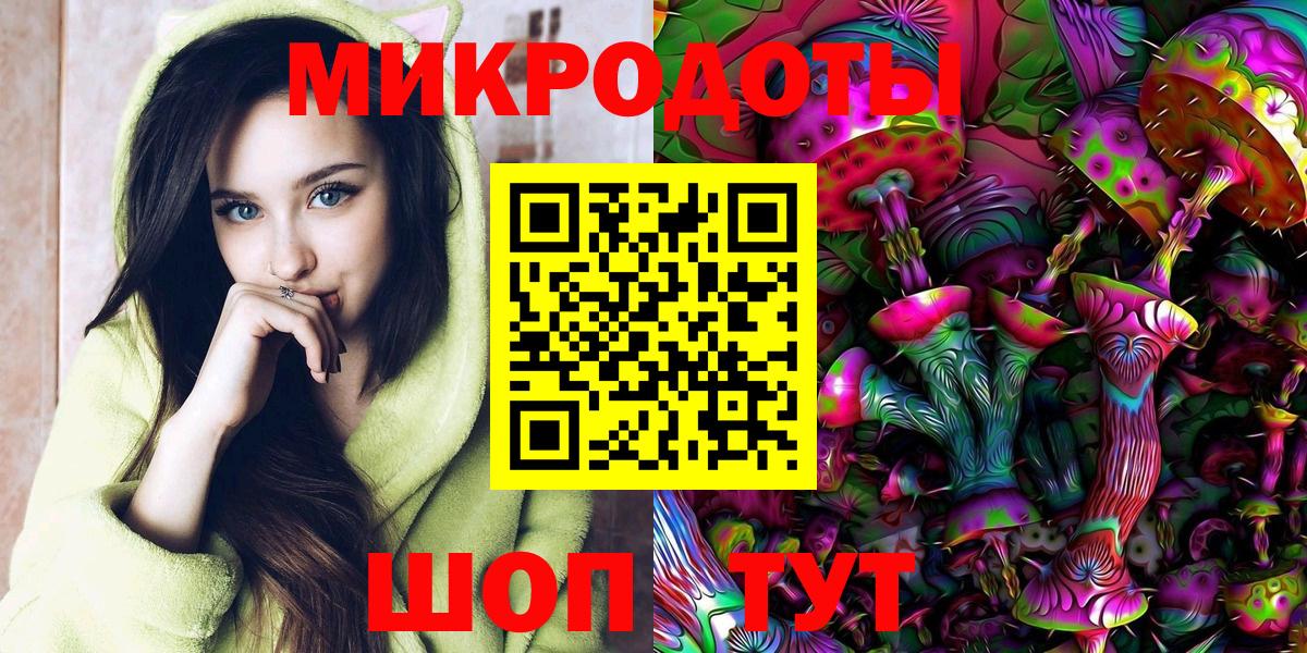 Псилоцибиновые грибы мицелий Петрозаводск