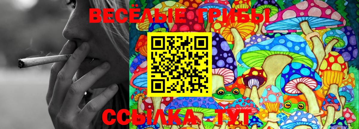 Галлюциногенные грибы Cubensis  Вход с VPN  Петрозаводск 